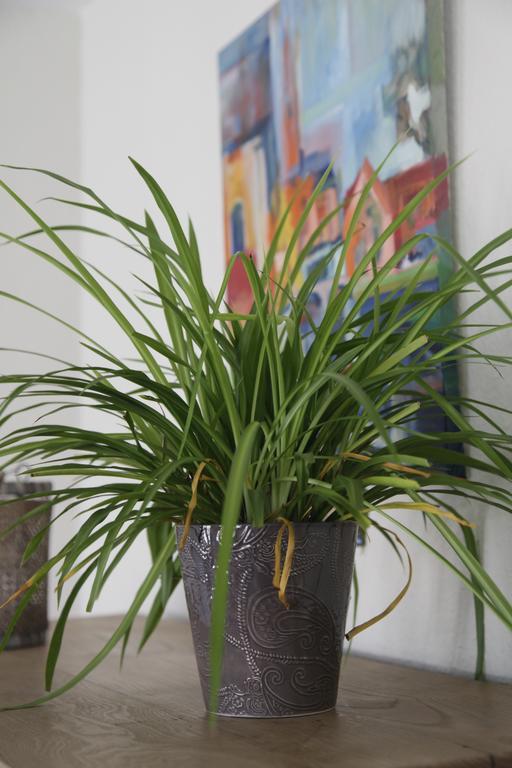 Aux Herbes Folles Herve ภายนอก รูปภาพ